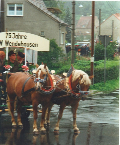 FW FEST 00 1