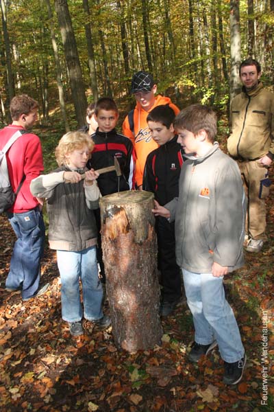 BILD1 (148)