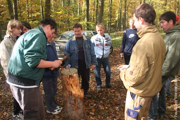 BILD1 (6)