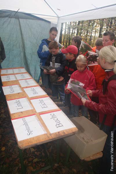 BILD1 (77)