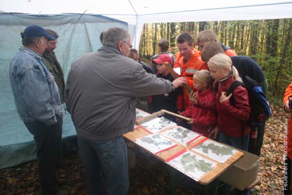 BILD1 (83)