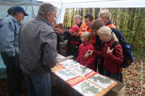 BILD1 (84)