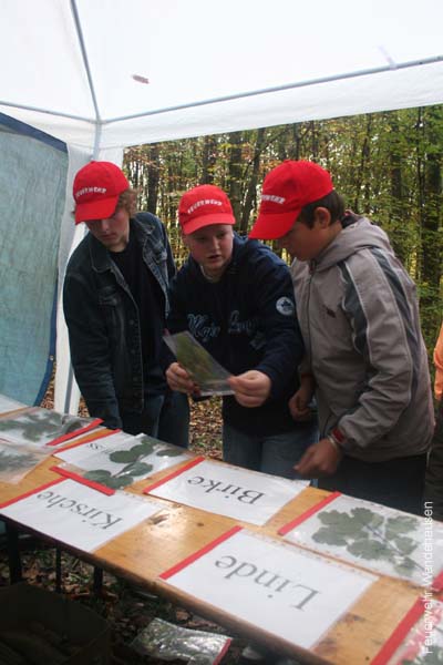 BILD1 (90)