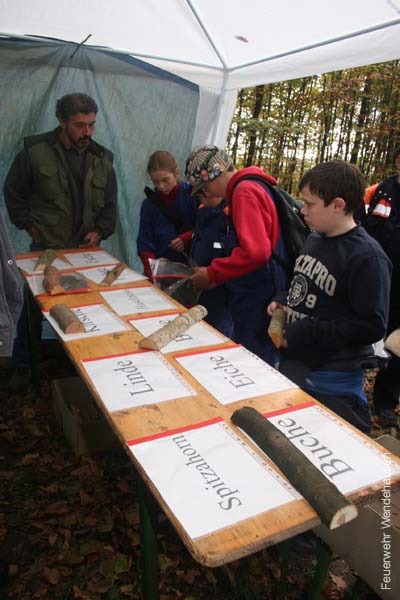 BILD1 (95)