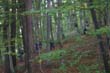 BILD1 (121)