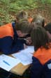 BILD1 (130)