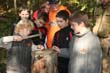 BILD1 (149)