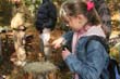 BILD1 (151)
