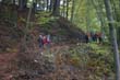 BILD1 (45)