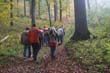 BILD1 (51)