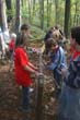 BILD1 (57)