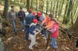 BILD1 (70)