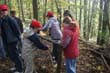BILD1 (71)