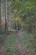 BILD1 (86)