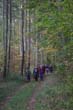 BILD1 (87)