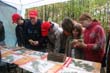 BILD1 (91)