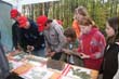 BILD1 (92)