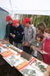 BILD1 (93)