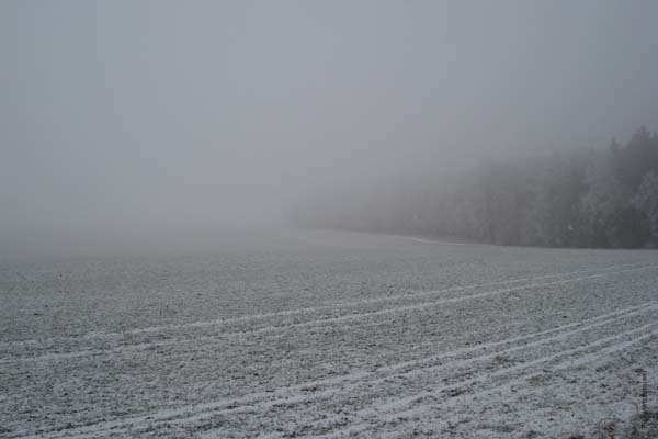 DSC06914