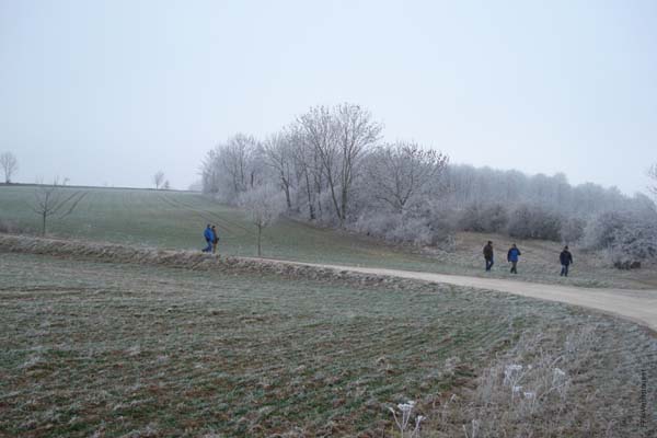 DSC06860